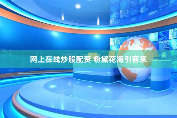 网上在线炒股配资 粉黛花海引客来